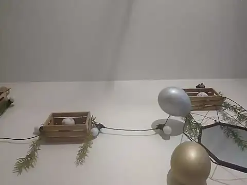 Snapshot of nousmeme0123 chatting on February 20, 2026, 2:52 am nousmeme0123 online show from February 20, 2026, 2:52 am