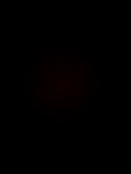 armandoluisorrrkw3323 online show from April 11, 2026, 12:40 am