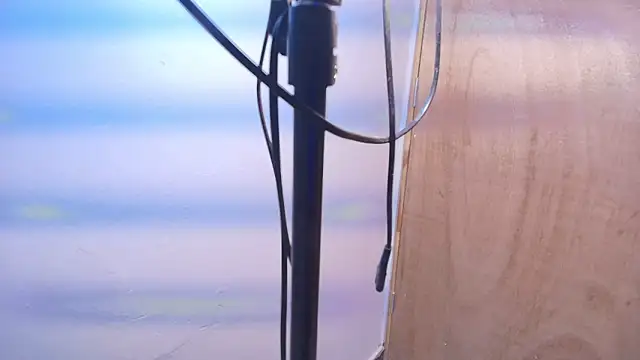 Terraelowen online show from February 20, 2026, 11:23 am