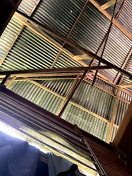 Snapshot of Alabestia12 chatting on December 5, 2025, 3:10 pm Alabestia12 online show from December 5, 2025, 3:10 pm