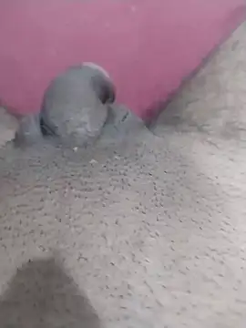 motoboytkbh online show from April 9, 2026, 8:04 pm