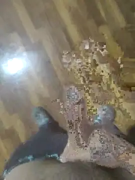 Snapshot of rayane7xx chatting on November 28, 2025, 3:23 pm rayane7xx online show from November 28, 2025, 3:23 pm