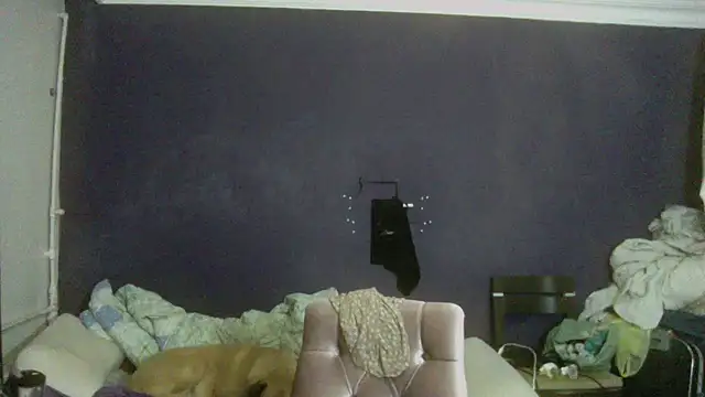 turkishTransEfsun online show from November 26, 2025, 5:57 pm