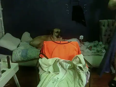 turkishTransEfsun online show from February 28, 2026, 11:26 pm