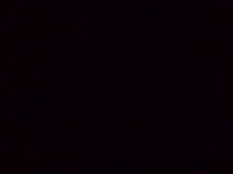 stellaVogliosa online show from May 12, 2026, 6:03 pm