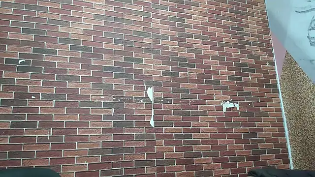 Sexvergon 26 online show from March 22, 2026, 1:23 pm