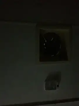 shakeweight online show from October 3, 2025, 11:01 am