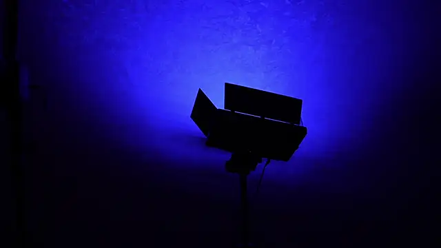 Stella Vanila online show from November 1, 2025, 11:15 am