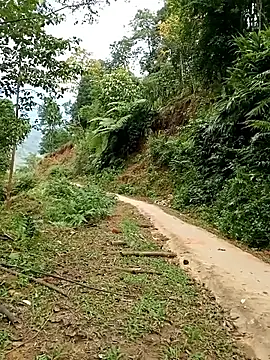 Snapshot of Dung-Thao19 chatting on November 24, 2025, 2:55 am Dung-Thao19 online show from November 24, 2025, 2:55 am