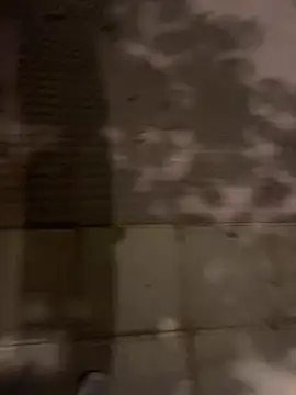 Wild2XXX online show from October 21, 2025, 11:26 pm