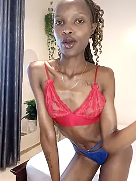 Nedambale online show from February 11, 2026, 11:43 am