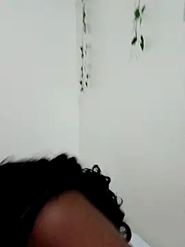 Nedambale online show from September 21, 2025, 7:41 pm