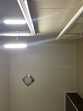 Snapshot of Lexi_Storm chatting on March 2, 2026, 6:14 am Lexi Storm online show from March 2, 2026, 6:14 am