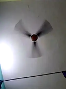 hornypiu697 online show from March 11, 2026, 3:44 am