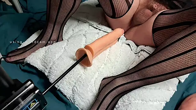 redobeyhole online show from October 14, 2025, 6:41 pm