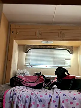 high3ndlowlife online show from November 20, 2025, 4:40 pm