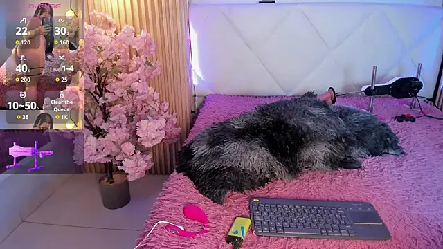 veronica hill  online show from June 26, 2026, 3:01 am