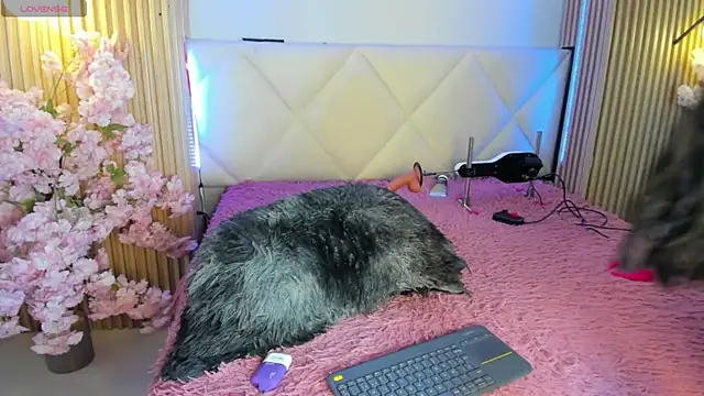 veronica hill  online show from July 23, 2026, 3:26 am