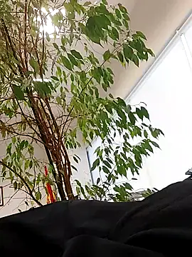 Emily de Carla online show from September 24, 2025, 3:29 pm