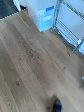 Attila120 online show from October 8, 2025, 2:51 pm