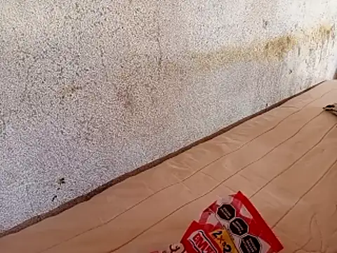 Feertorres  online show from February 1, 2026, 6:17 pm