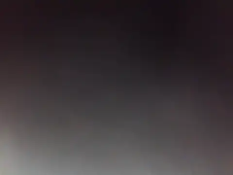 PeludoBrasil online show from March 22, 2026, 1:56 pm