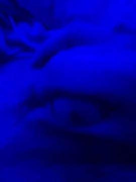 Snapshot of Derfick200 chatting on December 2, 2025, 7:26 pm Derfick200 online show from December 2, 2025, 7:26 pm