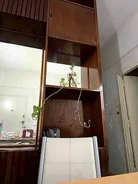 caritadeangellll online show from January 14, 2026, 11:30 pm