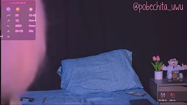 Pobechita online show from February 8, 2026, 2:31 am