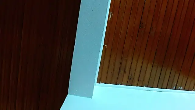 Snapshot of shelbygp chatting on March 5, 2026, 11:51 am shelbygp online show from March 5, 2026, 11:51 am