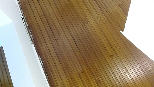 Snapshot of shelbygp chatting on March 9, 2026, 11:58 am shelbygp online show from March 9, 2026, 11:58 am