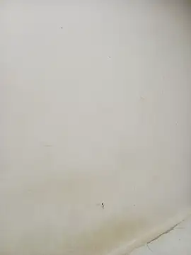 Snapshot of Dani_34velan chatting on September 17, 2025, 4:58 am Dani 34velan online show from September 17, 2025, 4:58 am