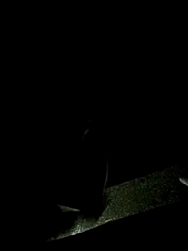 Lawrence067 online show from November 4, 2025, 1:31 am