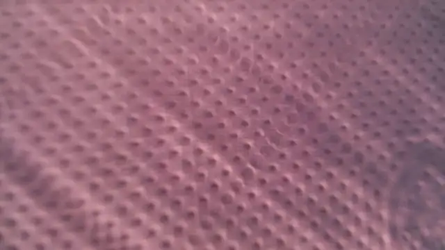 Liz Hu online show from October 9, 2025, 12:49 pm