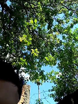 Snapshot of novinho_safado__ chatting on December 5, 2025, 5:55 pm novinho safado online show from December 5, 2025, 5:55 pm