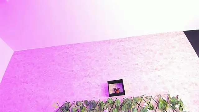 ImEmily444 online show from October 4, 2025, 7:54 am