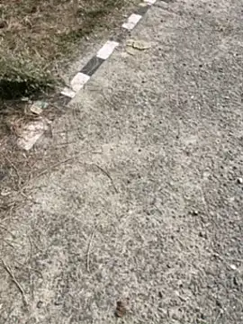 Desiandaj online show from November 30, 2025, 7:53 am