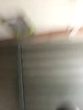 morenoklh online show from February 12, 2026, 11:48 pm