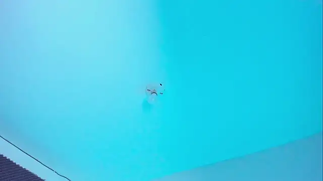 Ellope  online show from November 14, 2025, 10:02 pm