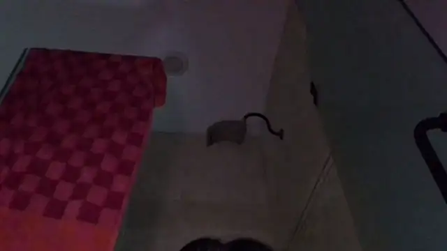 TallDrink11 online show from September 29, 2025, 10:26 pm