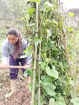 Snapshot of quynhkoolbae chatting on March 21, 2026, 9:14 am quynhkoolbae online show from March 21, 2026, 9:14 am