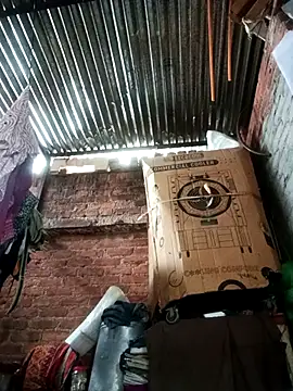 Pinki thakur 1 online show from December 3, 2025, 10:25 am