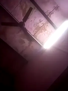 TINASONI online show from July 11, 2026, 6:41 pm