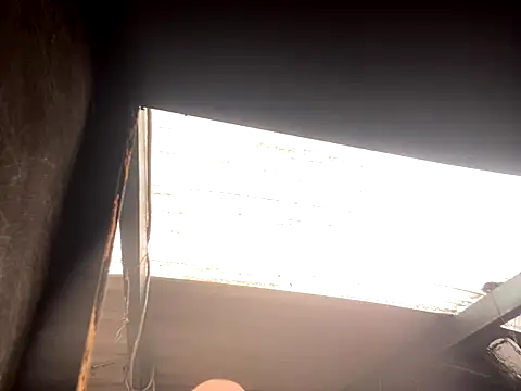 rider239 online show from October 2, 2025, 5:16 pm