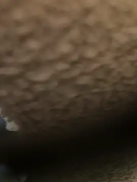 xxxfeo online show from September 18, 2025, 2:31 pm