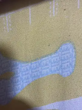 HaltBrand online show from November 17, 2025, 12:36 am