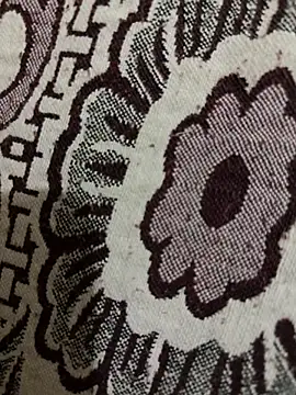 HaltBrand online show from November 10, 2025, 12:48 am