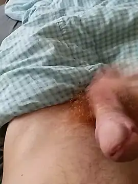 bodrika online show from February 17, 2026, 2:58 pm