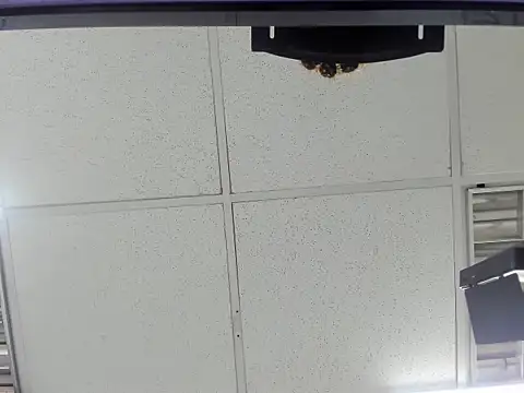 Aisha hotts777 online show from March 20, 2026, 2:45 am