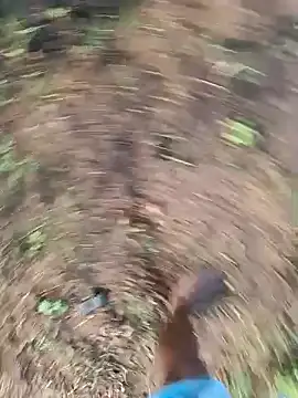 dolphiinn online show from March 12, 2026, 2:06 am